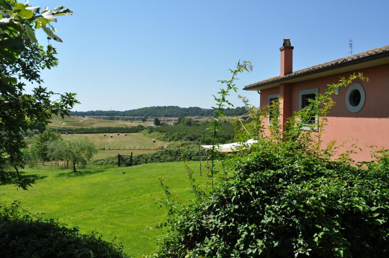 Bed and Breakfast Casale Vicino Al Golf Nazionale à Monterosi Extérieur photo